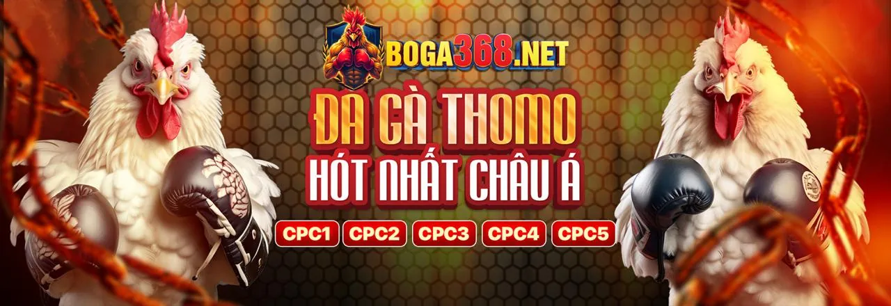 Sảnh Đá Gà Trực Tuyến Hấp Dẫn tại nohu 28 trang chủ
