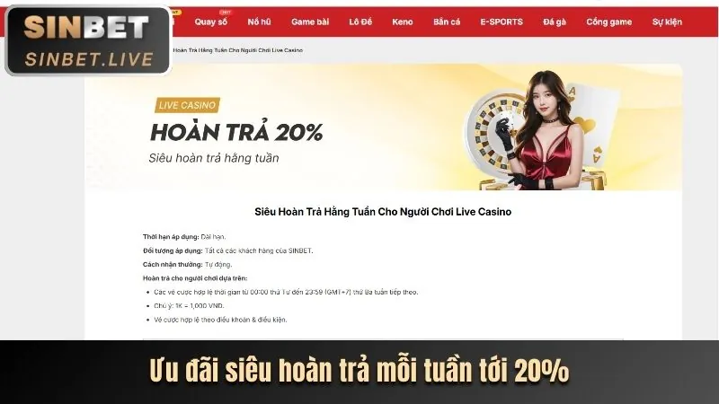 Giá trị cốt lõi của nohu 28